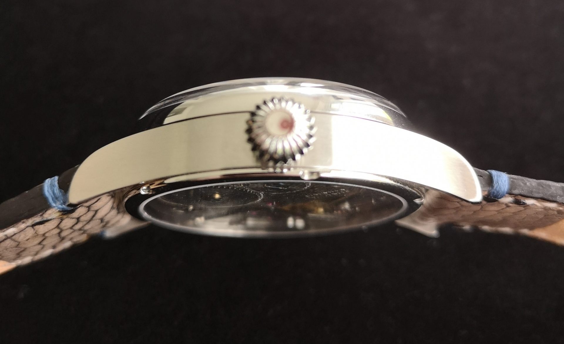 Ketelaars 3D Terra in Motion Side and Crown